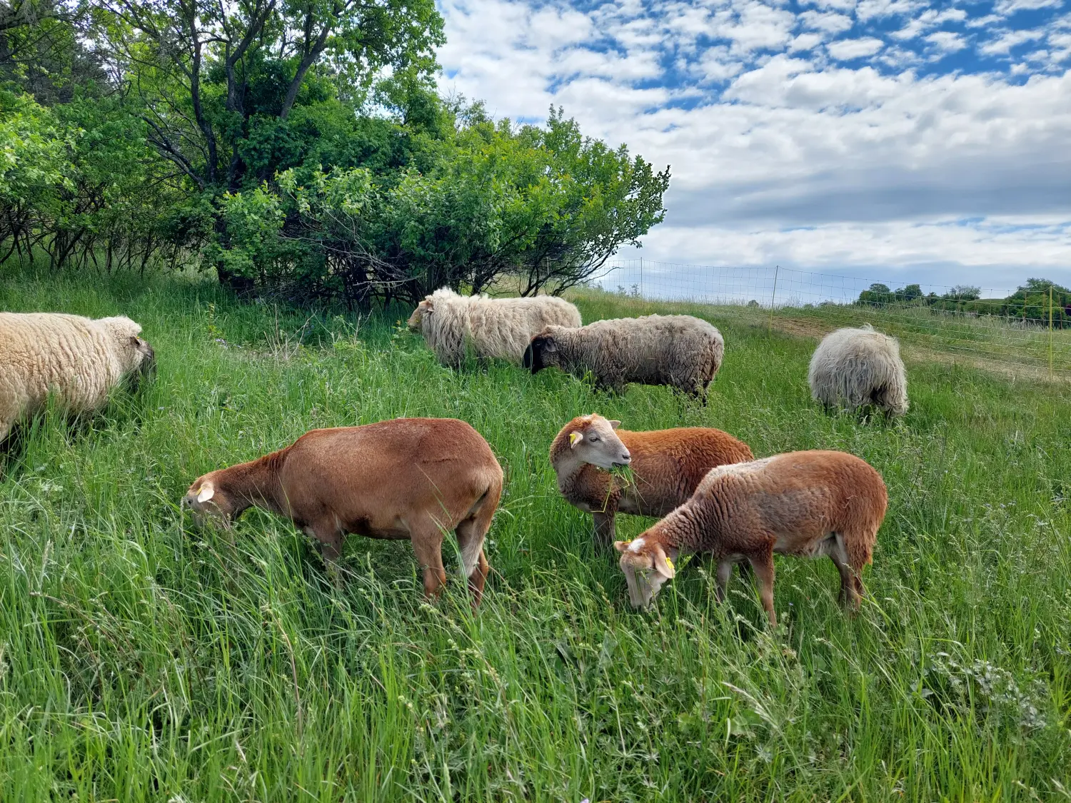 Unsere Tiere
