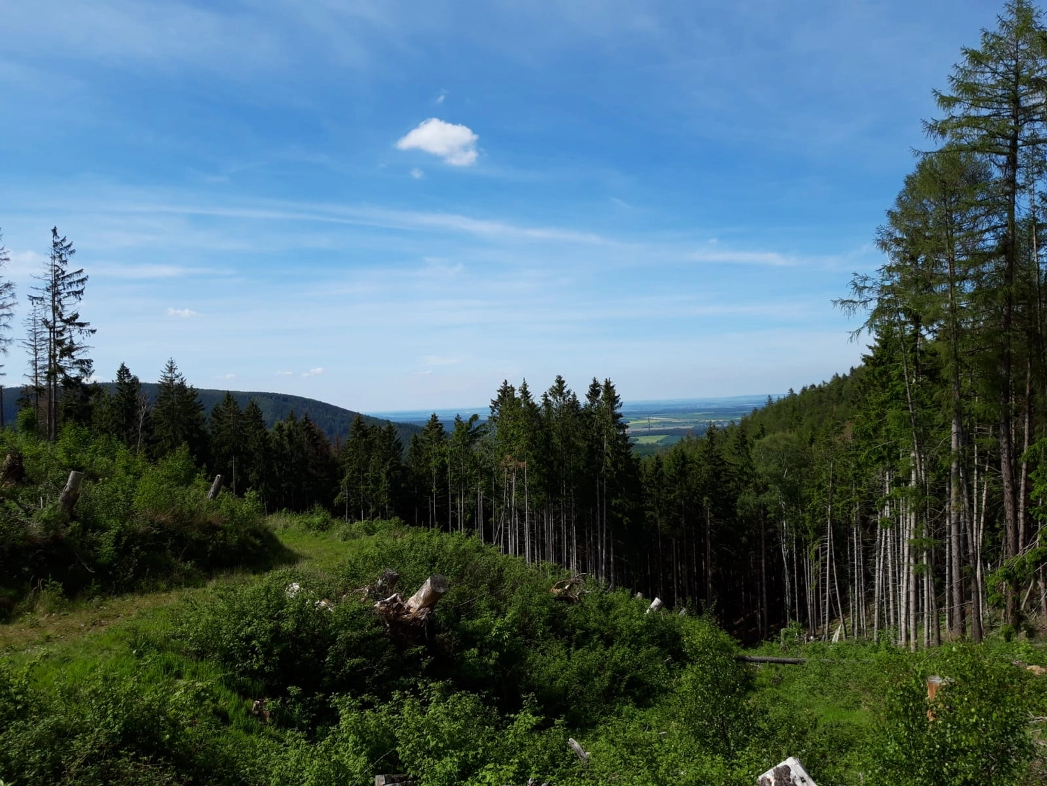 Natur-pur