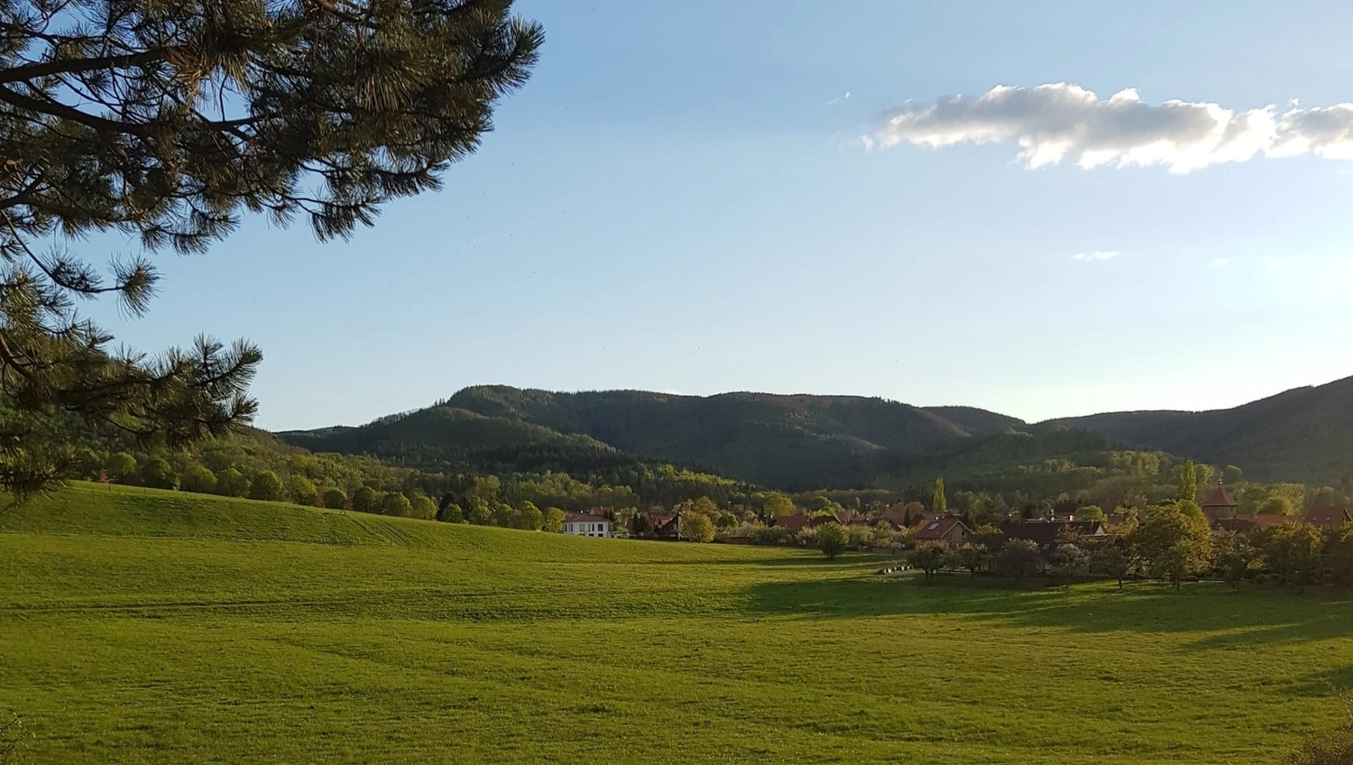 Natur-pur