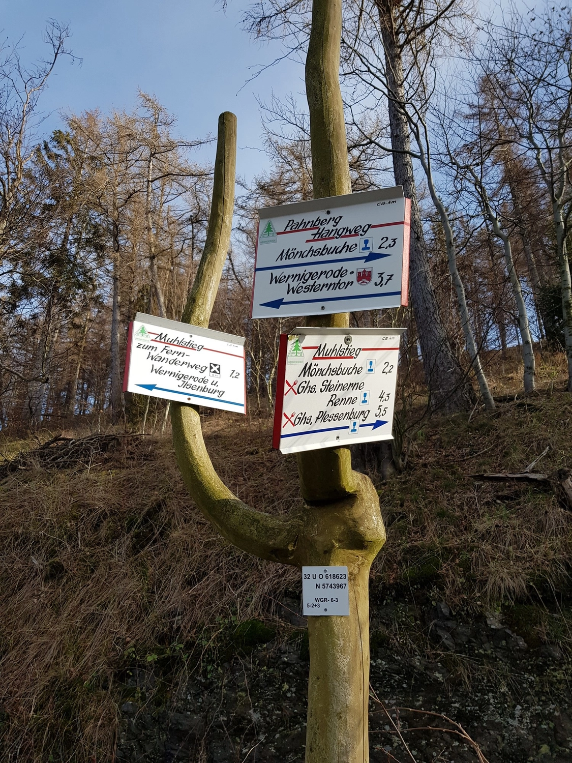 Natur-pur